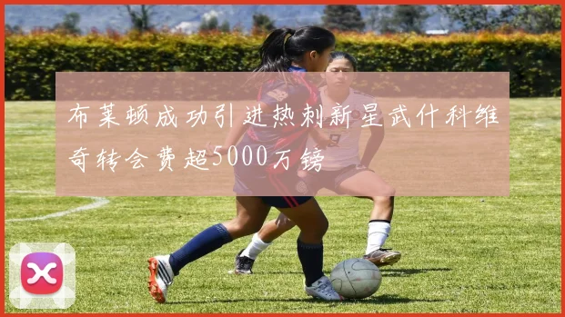 布莱顿成功引进热刺新星武什科维奇转会费超5000万镑